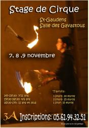 affiche-stage-cirque-nov.jpg