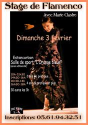 affiche-stage-flamenco-copy-1.jpg