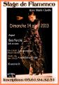 affiche-stage-flamenco-copy-3.jpg