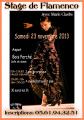 affiche-stage-flamenco-copy-5.jpg