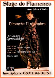 affiche-stage-flamenco.jpg