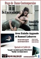 Affiche stage juillet 2014 copy 2