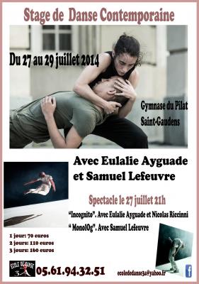 Affiche stage juillet 2014 copy