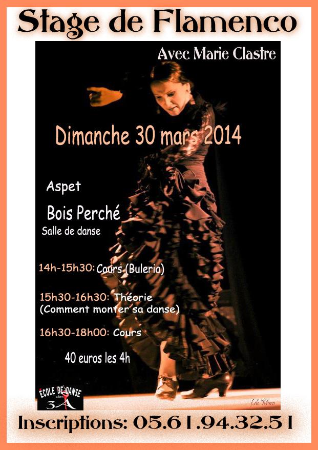 Affiche stage flamenco copy